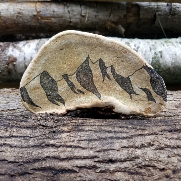 About Inspiration Boreal - Picture 9 of 16